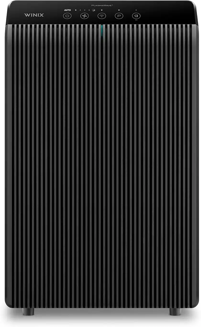 WINIX 5510 product view on a plain background