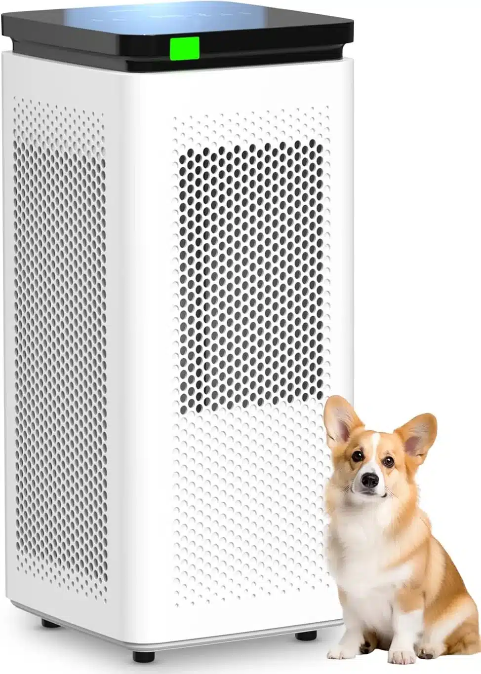 H13 True HEPA Air product view on a plain background