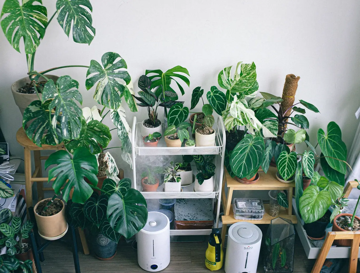 Humidifier releasing visible mist among leafy houseplants in a bedroom corner
