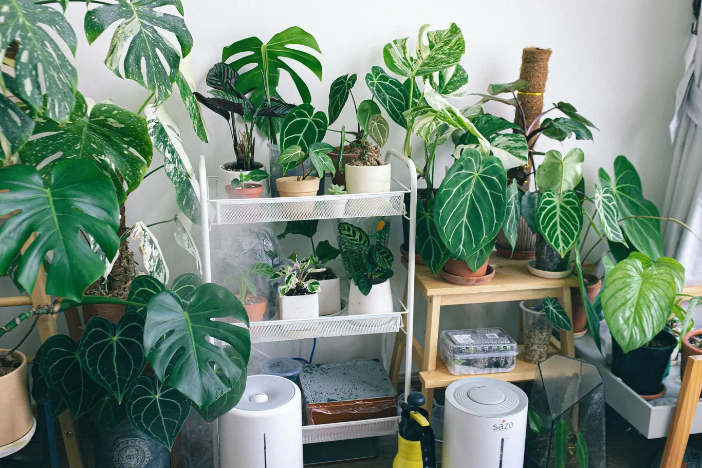 An air purifier running on the floor of a room crowded with potted houseplants