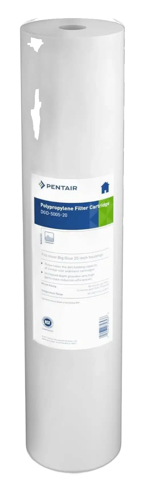 Pentair Pentek DGD-5005-20 Big product view on a plain background