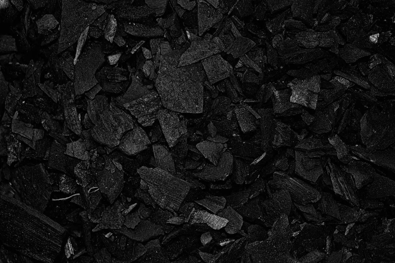 Close-up of black activated carbon granules used in water filtration