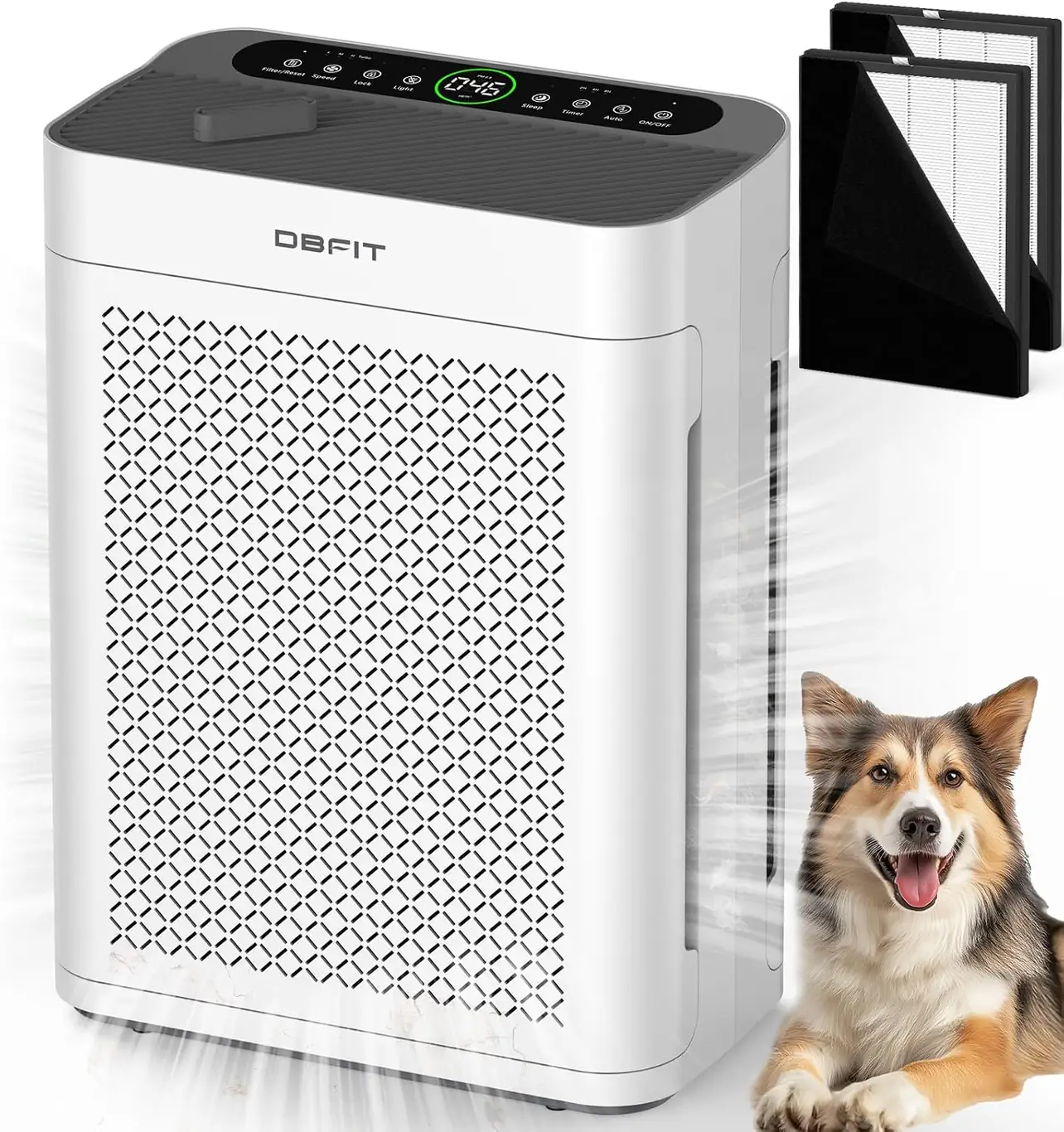 DBFIT AP300 Double-Sided Purifier product view on a plain background
