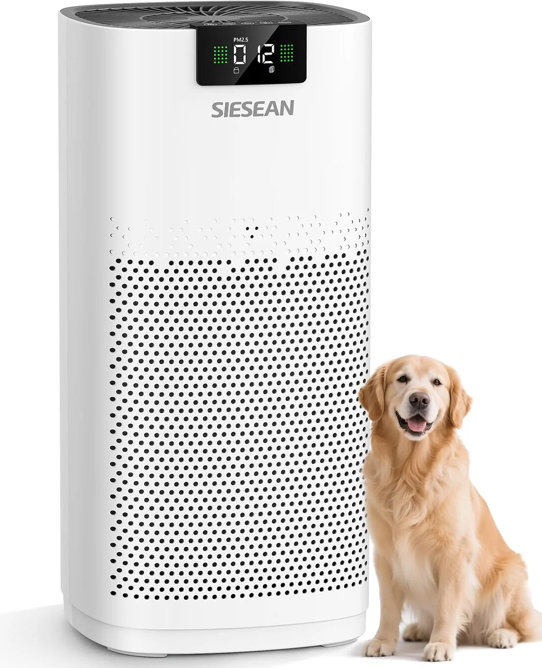 Siesean AP-480 High-CADR Purifier product view on a plain background