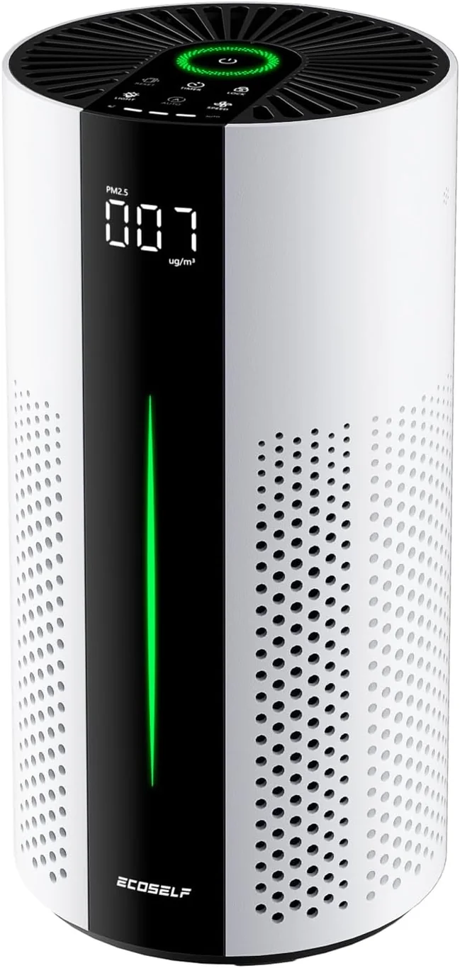 ECOSELF HEPA Air Purifier product view on a plain background